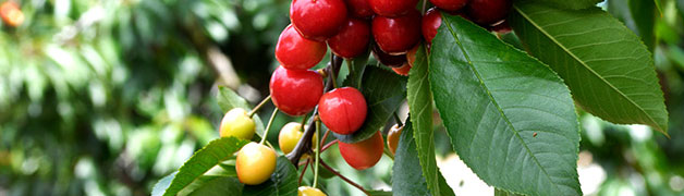 token.im钱包-imtoken官网-imtoken官网下载安卓版