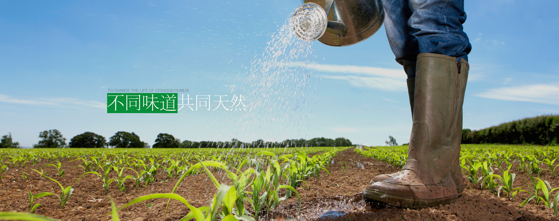 token.im钱包-imtoken官网-imtoken官网下载安卓版