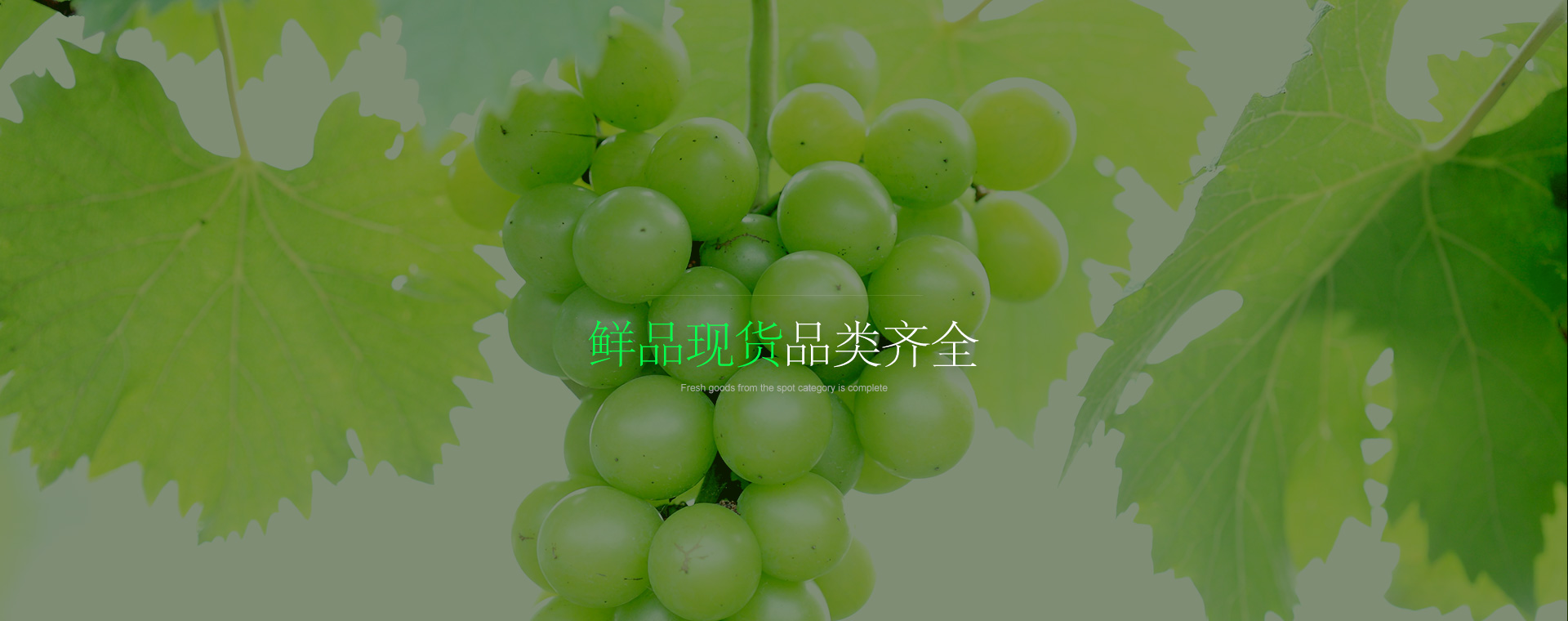 token.im钱包-imtoken官网-imtoken官网下载安卓版